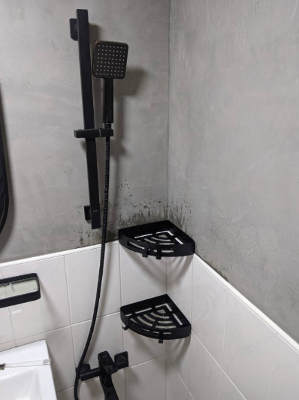 黑色不鏽鋼雙層轉角架